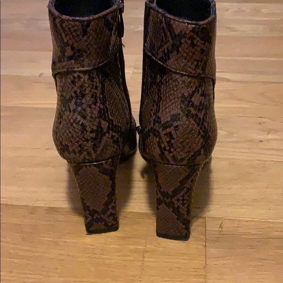 Steven snakeskin booties - Picture 7 of 7